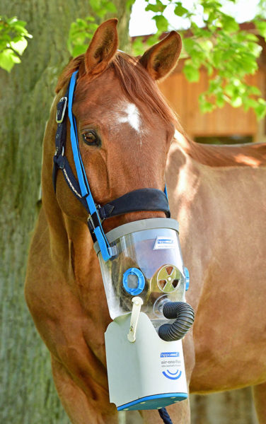 Hippomed Air-One Flex - Optimale Hilfe bei der Atemwegsbehandlung für Pferde.