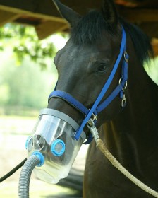 Hippomed Air-One - Ultraschall-Inhaliergerät für Pferde. Optimale Hilfe bei der Atemwegsbehandlung und Therapie von Atemwegserkrankungen wie z.B. Pferdehusten, Allergien, chronischer Bronchitis (COB), Pilze / Milben in der Lunge oder Dämpfigkeit.