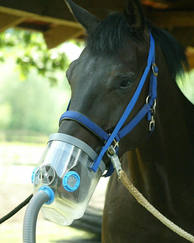 Hippomed Air-One Ultraschall-Inhalator Pferdeinhalator, Hippomed