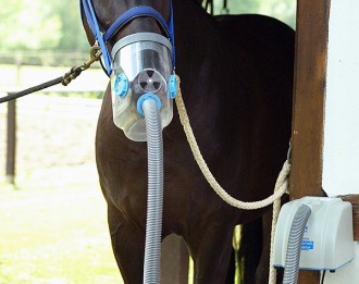 Hippomed Air-One Akku - Optimale Hilfe bei der Atemwegsbehandlung für Pferde.
