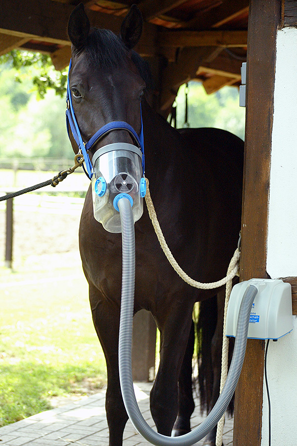 Hippomed Air-One - ultrasound inhaler horses, Therapy, Hippomed